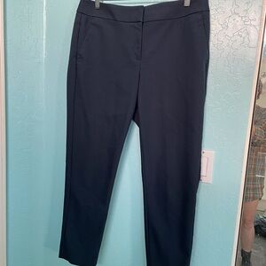 Loft Julie Skinny Pant Navy Size 10 NWOT